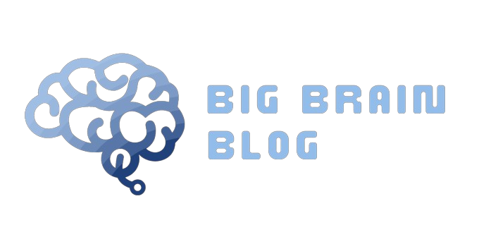 Big Brain Blog